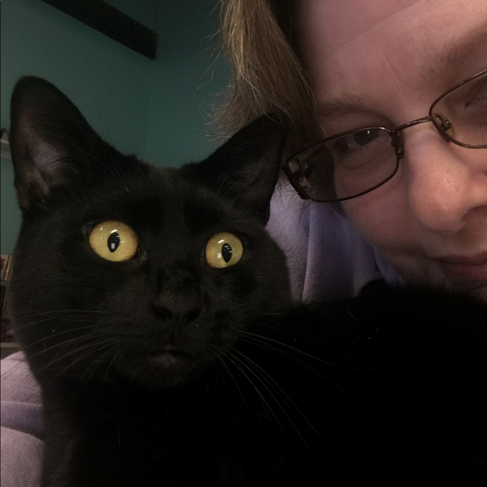 Meet your Posher, Kristina